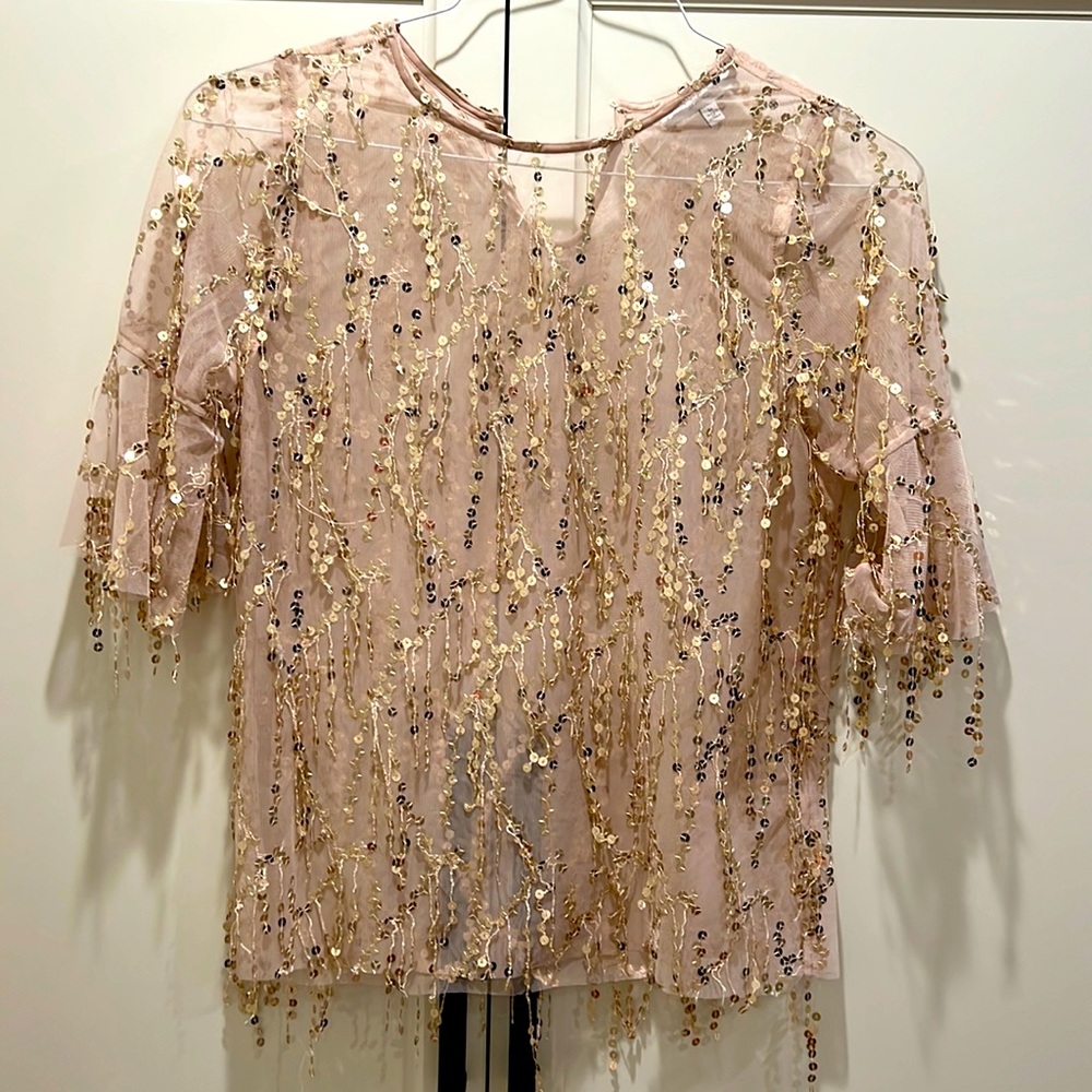 Hayden size medium sheer sequin top